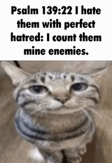 1749757954638812