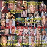 transvestigator-craziness-pt-3-v0-6ebnxmjf16a91