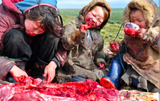 InuitBloodyMeal