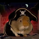 images pirate