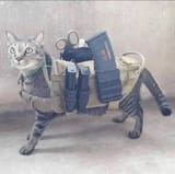 Tactical Cat