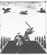 castlevania birds