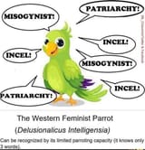 parrot
