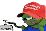 copum2