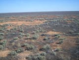 Nullabor_plain_from_the_indian_pacific