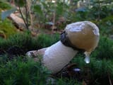 IMG_0788