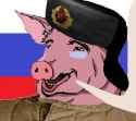Puccian pig
