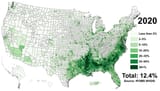 Black_Americans_2020_County