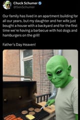 Schumer alien grill