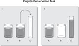 Piagets-liquid-conservation-task