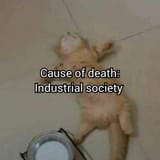 1749283902030759