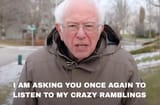 Crazybernie