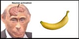 PutinAndBanan