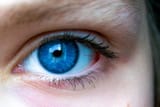 Blue Eyes 6