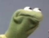 bae82312ee7e96e22987459541037281--kermit-face-kermit-the-frog