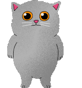 cat_shrug