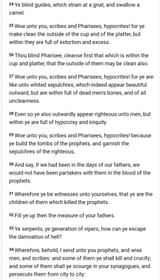 Matthew ch23 v24-34