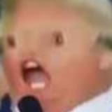 trump potato1_