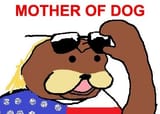 American bear mother od dog spurdo