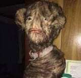 horrifying dog child