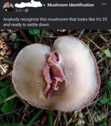 4574