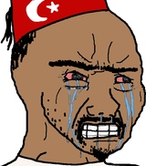 Thread 511467280 OP Image