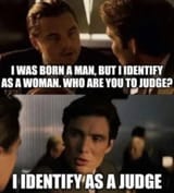 judge