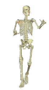 1744245784083185