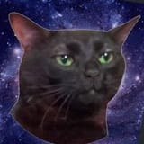 cat vibes