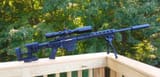 RPR_6.5 Summer