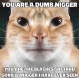 1729212024226441