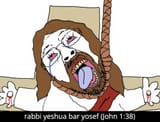 ryby