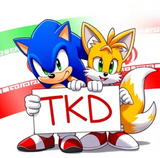 Sonic TKD