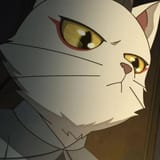cat127