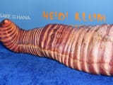 newFile-1