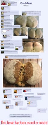 16554