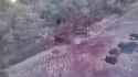 Gloooud-1930935540427223151-01_thumb.jpg
