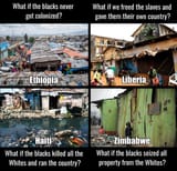 what if niggers_1
