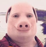 porkapproves