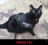 IMPOSTERKOT03