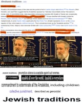 amalek84