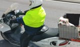 scootin