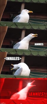 JANNIES