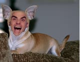 Ben_Shapiro_Truman_Show