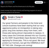 Loomer
