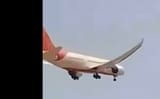 flaps