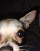 393737383876