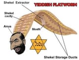 jewparasite2