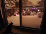 christmascat