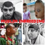 muslim inbreeding